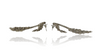 Indo Western Fashion Premium Cascading Fringes American Diamond , CZ Danglers