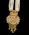Premium Gold Finish Heritage Aesthetics Long Haram Necklace Set